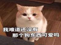 海口龙华凯亿综合工作室