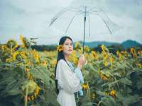 海口龙华凯亿综合工作室