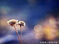 海口龙华凯亿综合工作室