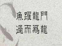 海口龙华凯亿综合工作室
