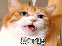 海口龙华凯亿综合工作室