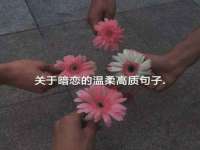 海口龙华凯亿综合工作室