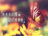 海口龙华凯亿综合工作室