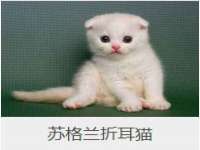 海口龙华凯亿综合工作室