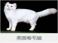 海口龙华凯亿综合工作室