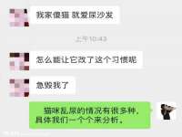 海口龙华凯亿综合工作室