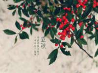 海口龙华凯亿综合工作室