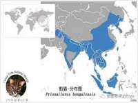 海口龙华凯亿综合工作室