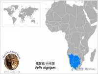 海口龙华凯亿综合工作室