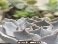 海口龙华凯亿综合工作室