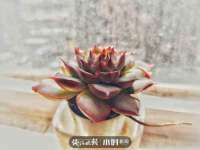 海口龙华凯亿综合工作室