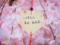 海口龙华凯亿综合工作室