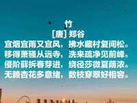 海口龙华凯亿综合工作室