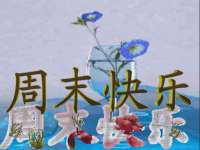 海口龙华凯亿综合工作室