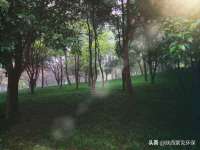 海口龙华凯亿综合工作室