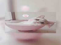 海口龙华凯亿综合工作室