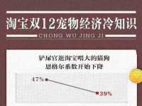 海口龙华凯亿综合工作室