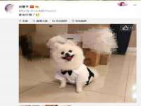 海口龙华凯亿综合工作室