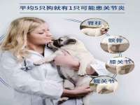 海口龙华凯亿综合工作室