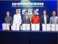 海口龙华凯亿综合工作室