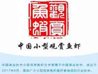 海口龙华凯亿综合工作室