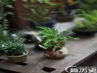 海口龙华凯亿综合工作室