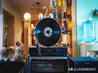 海口龙华凯亿综合工作室