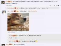 海口龙华凯亿综合工作室