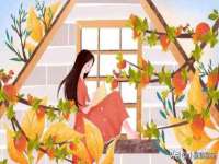 海口龙华凯亿综合工作室