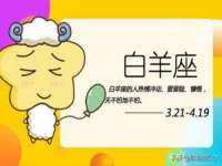 海口龙华凯亿综合工作室