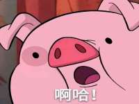 海口龙华凯亿综合工作室