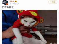 海口龙华凯亿综合工作室